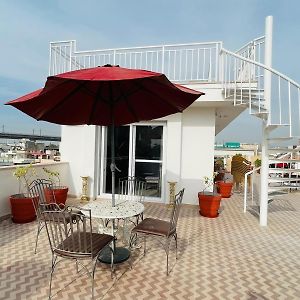 Studio Terrace